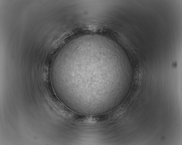 X0000115790656200911271228