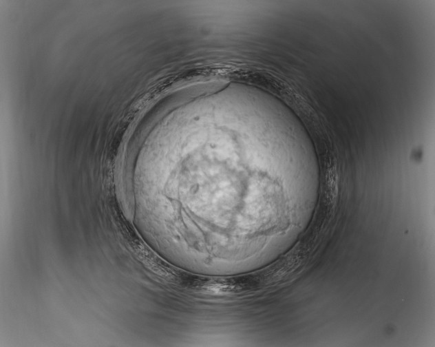 X0000115790657200911271228