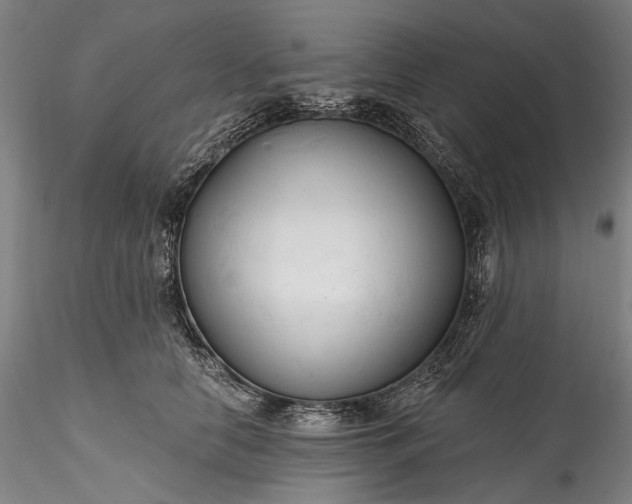 X0000115790658200911271228