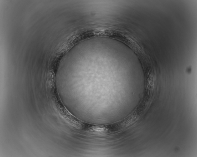 X0000115790659200911271228