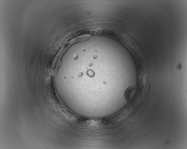 X0000115790660200911271228