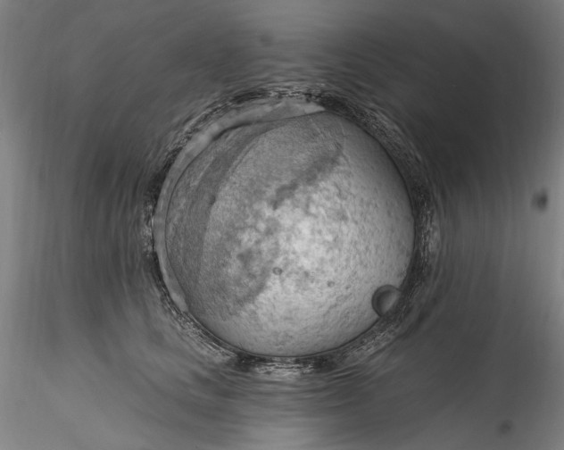 X0000115790661200911271228