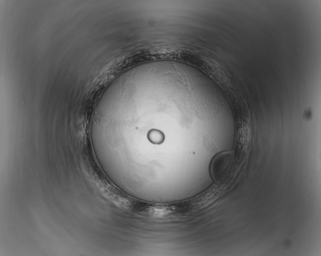 X0000115790662200911271228