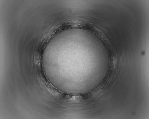 X0000115790663200911271228