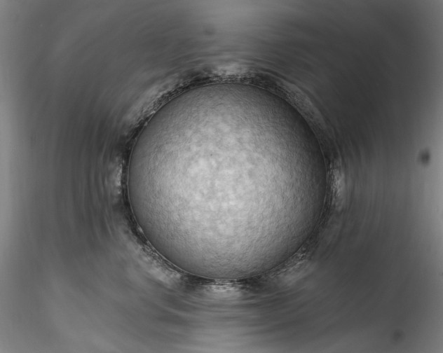 X0000115790668200911271228