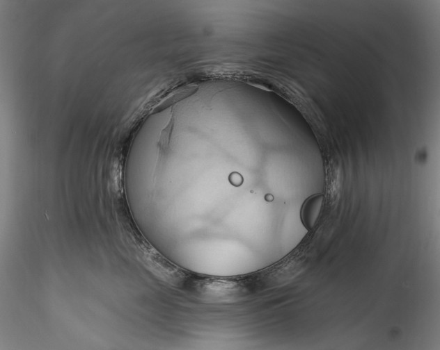 X0000115790669200911271228