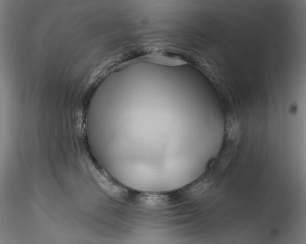 X0000115790670200911271228