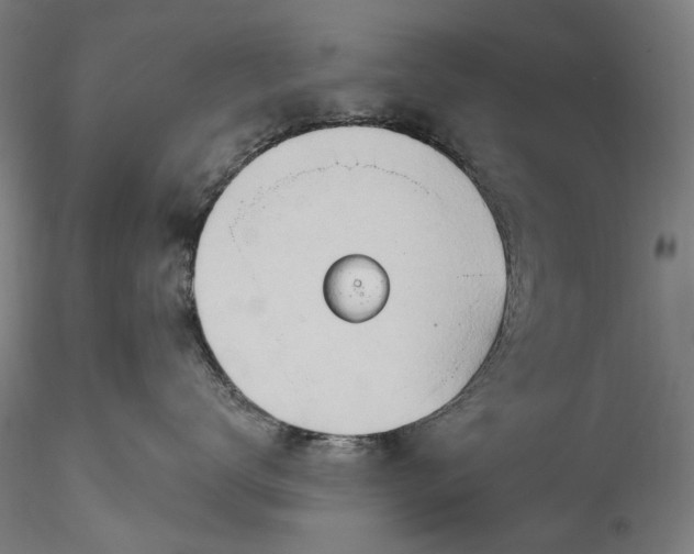 X0000115790672200911271228