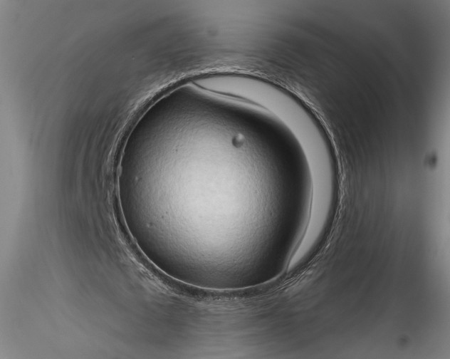 X0000115790673200911271227