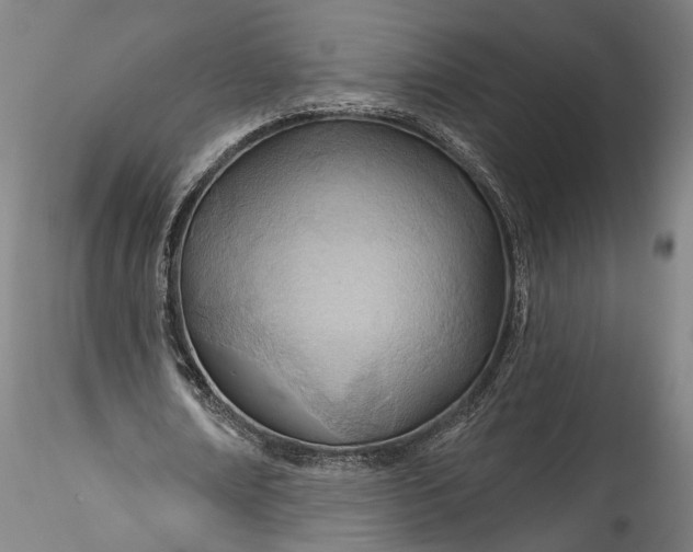 X0000115790674200911271227