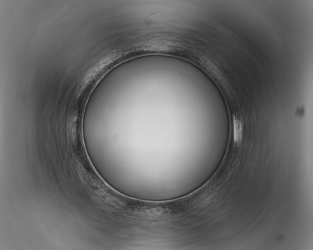 X0000115790675200911271227