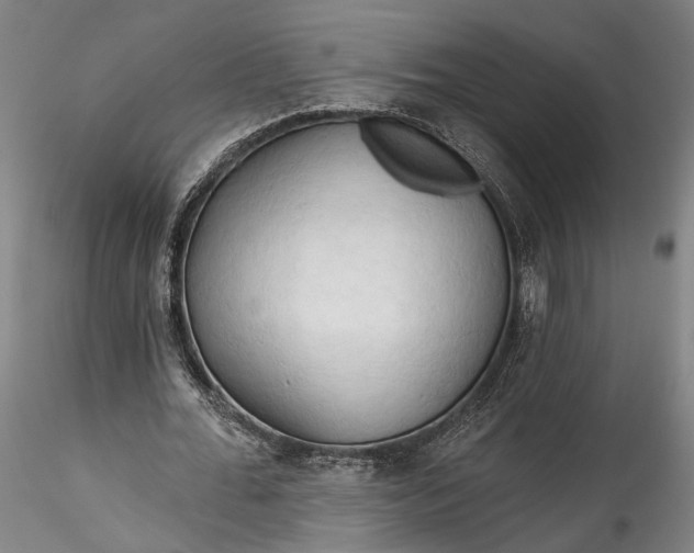 X0000115790676200911271227