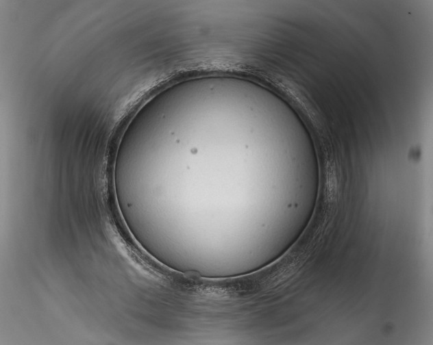 X0000115790677200911271227