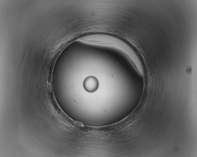 X0000115790681200911271227