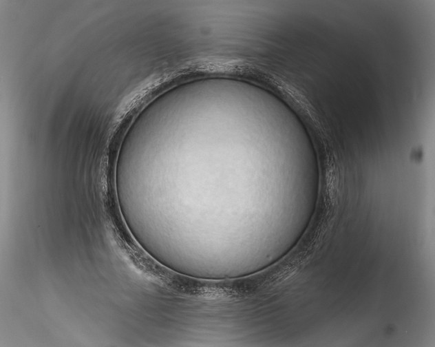 X0000115790682200911271227