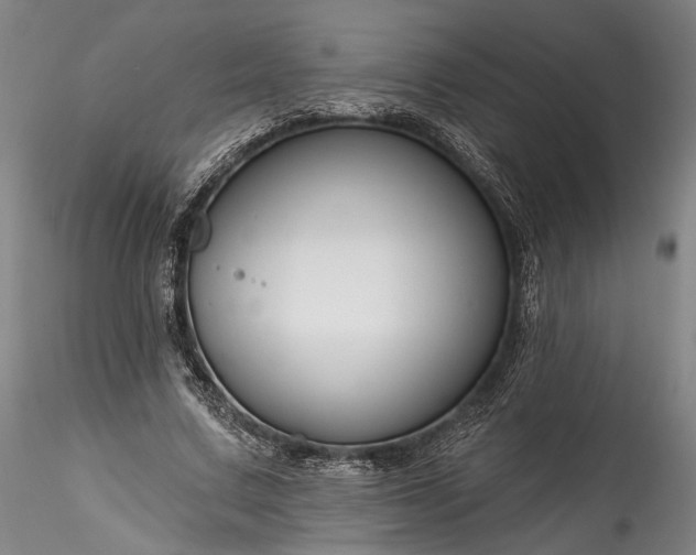 X0000115790683200911271227