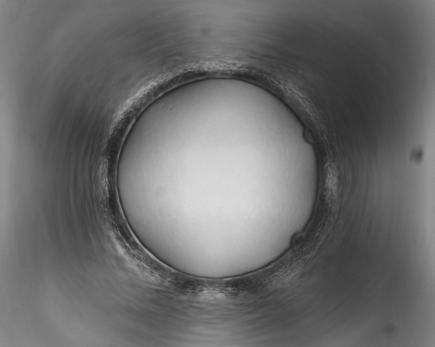 X0000115790684200911271227