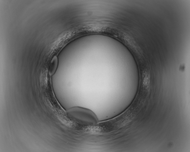 X0000115790685200911271227