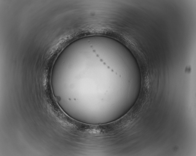 X0000115790687200911271227