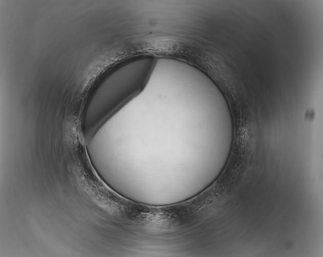 X0000115790688200911271227