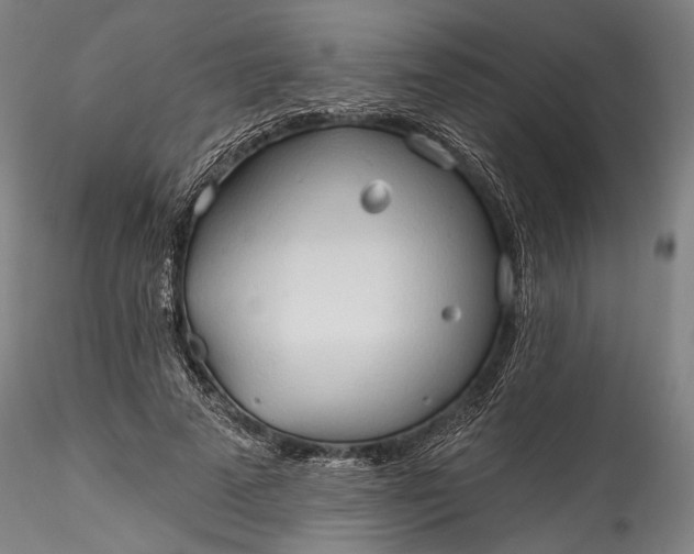 X0000115790689200911271227