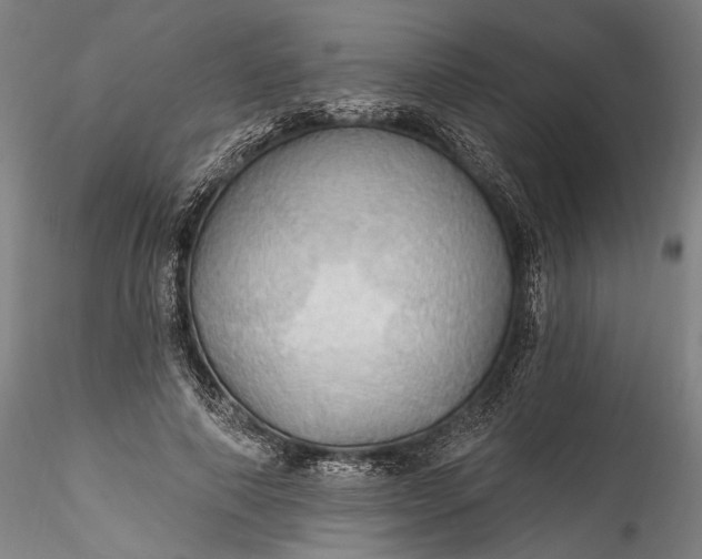 X0000115790690200911271227