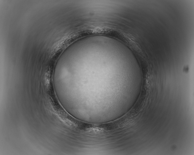 X0000115790691200911271227