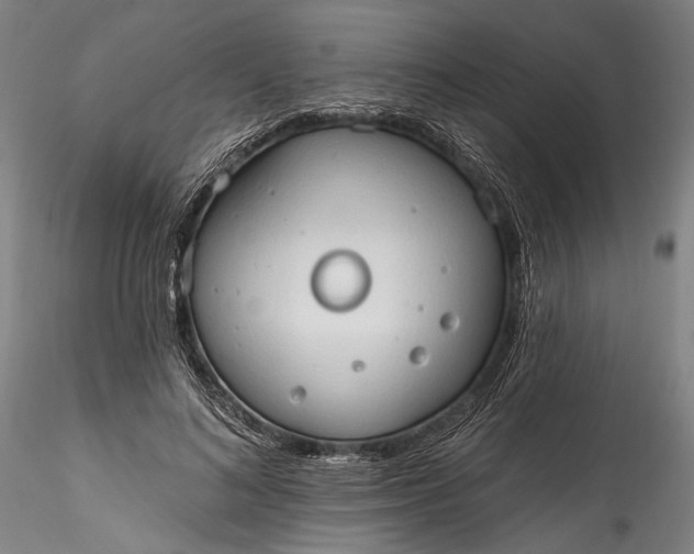 X0000115790692200911271227