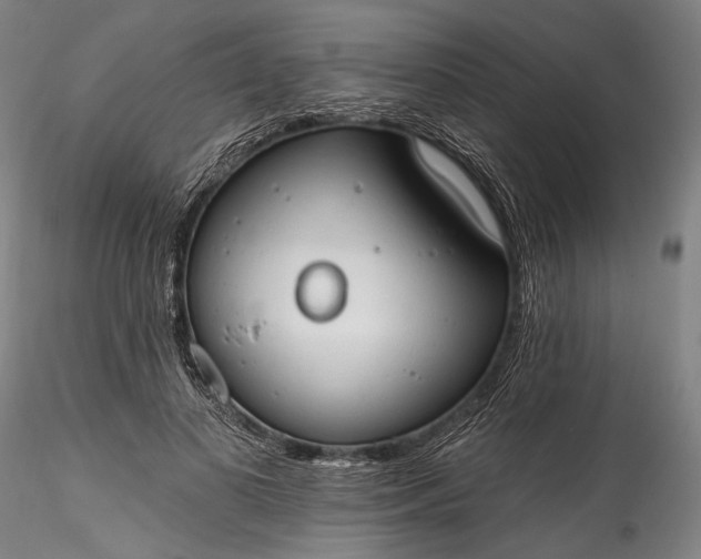 X0000115790693200911271227