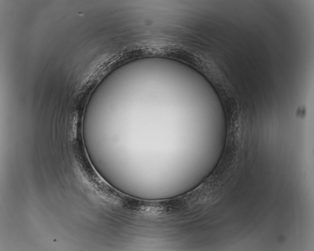 X0000115790694200911271227