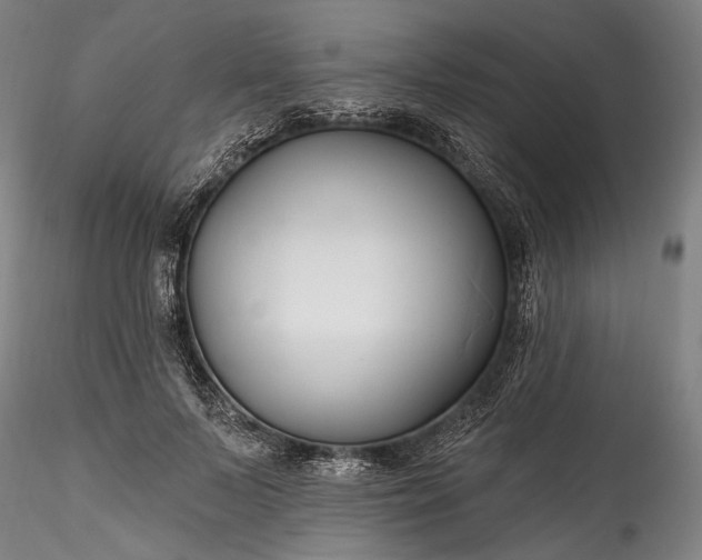 X0000115790695200911271227