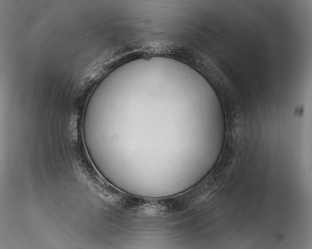 X0000115790696200911271227