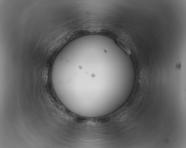 X0000115790697200911271227