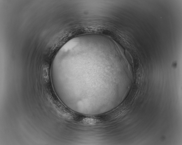 X0000115790699200911271227