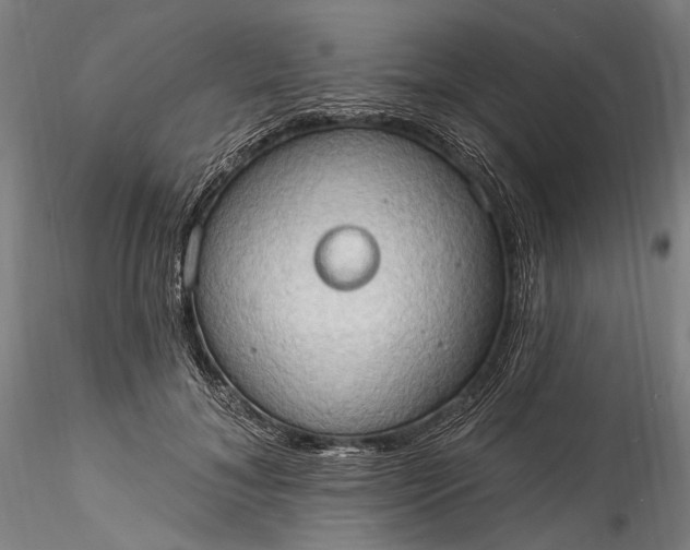 X0000115790700200911271227