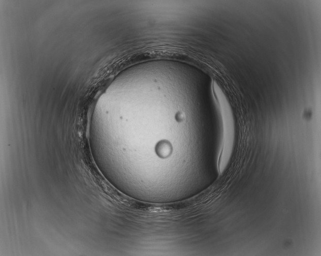 X0000115790701200911271227