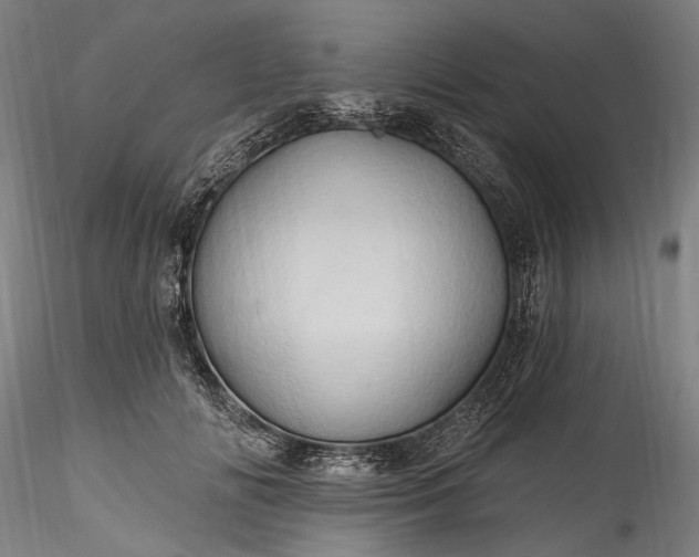 X0000115790702200911271227