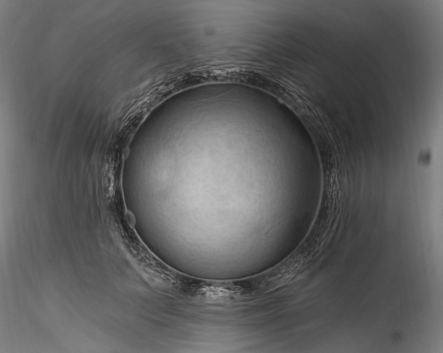 X0000115790703200911271227