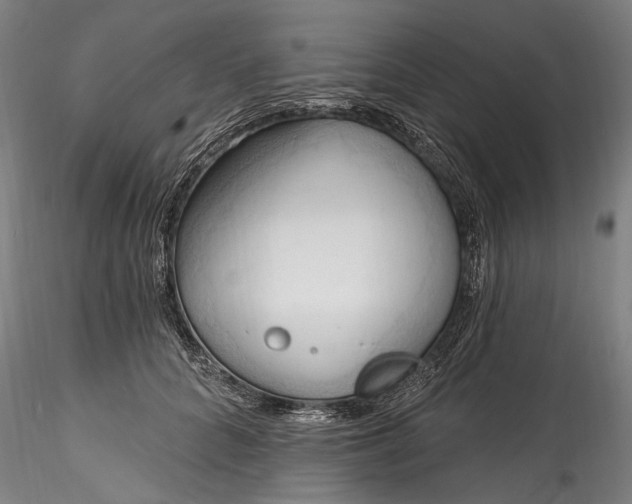 X0000115790704200911271227