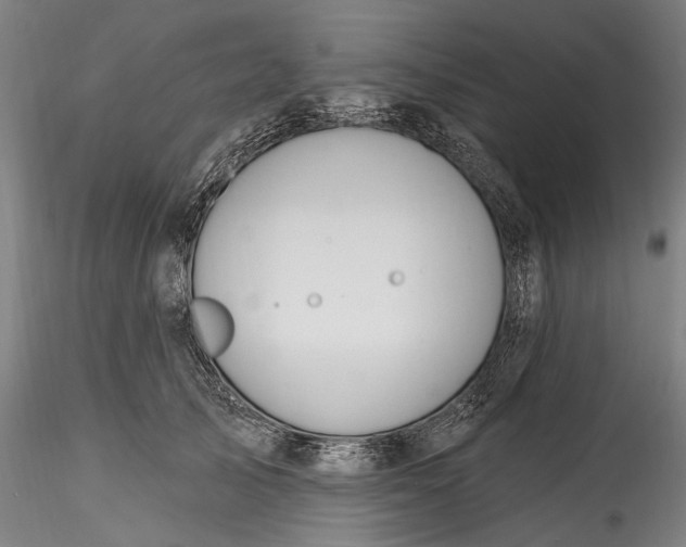 X0000115790705200911271227