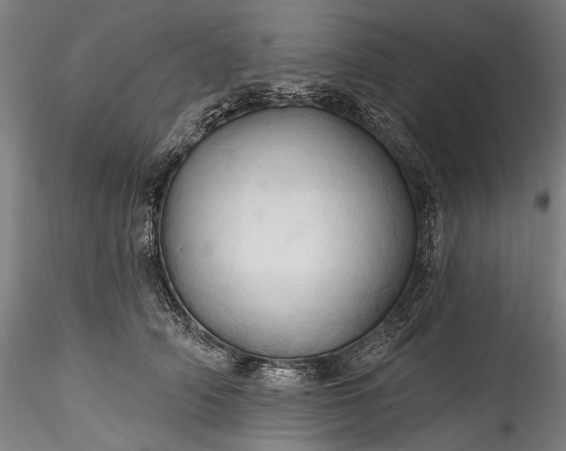 X0000115790706200911271227