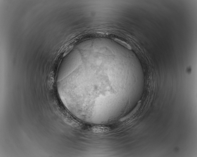 X0000115790707200911271227