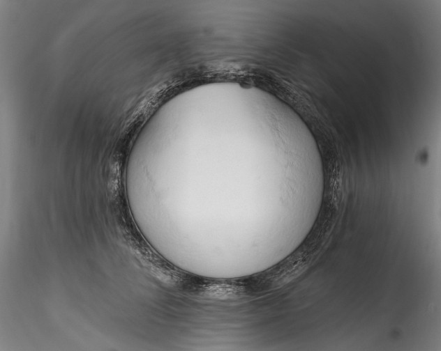 X0000115790708200911271227