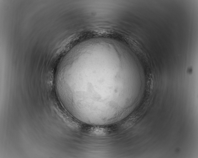 X0000115790710200911271227