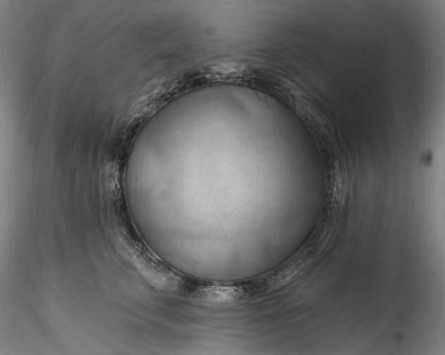 X0000115790711200911271227