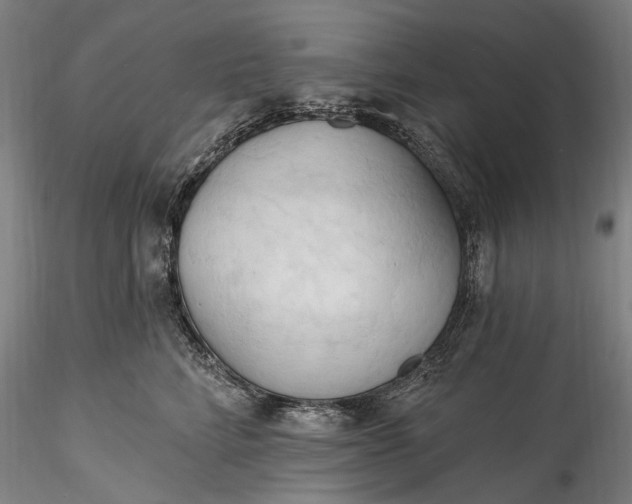 X0000115790712200911271227