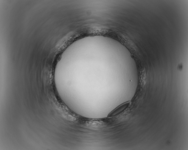 X0000115790716200911271227