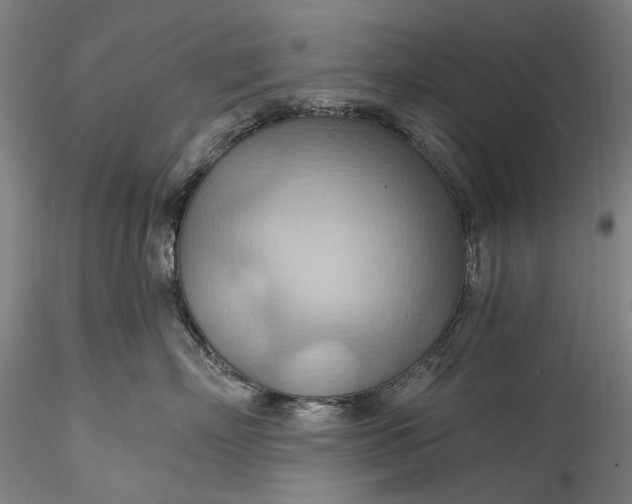 X0000115790718200911271227