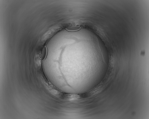 X0000115790719200911271227