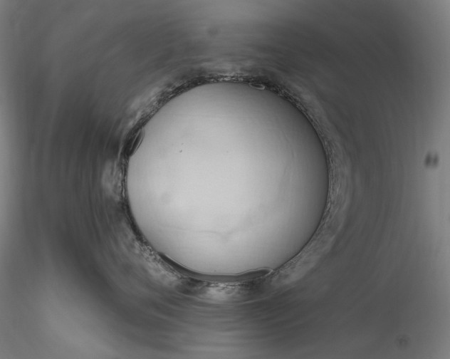 X0000115790720200911271227